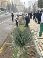 Ниҳолшинонӣ дар доираи омодагӣ ба ҷашни 35-солагии Истиқлолияти давлатӣ